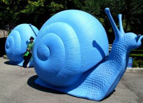 223856_131514133605073_1358346_n