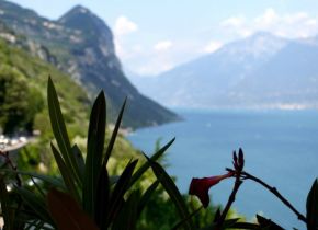 229629_131514423605044_7734813_n