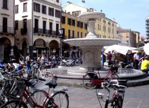 262800_131515593604927_4512960_n