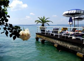 263327_131514256938394_7772491_n