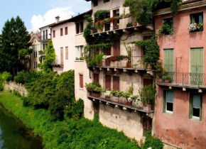 283550_131508866938933_5264444_n